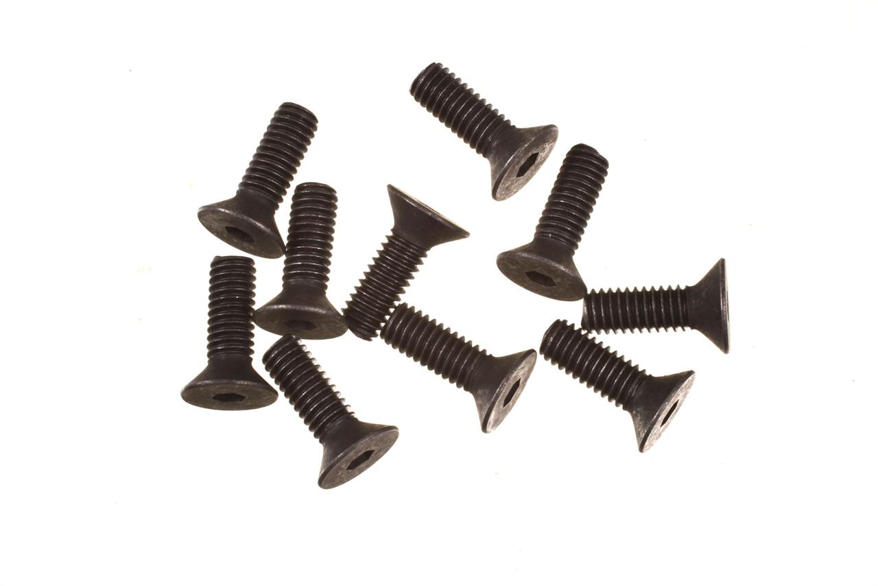 M4X12 F/H SCREW (8)