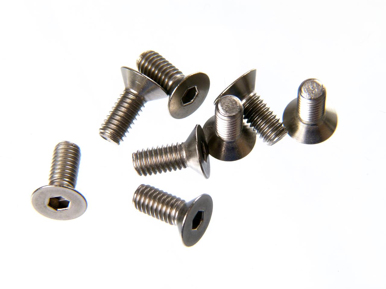 M4X10 F/H TITANIUM SCREW (8)